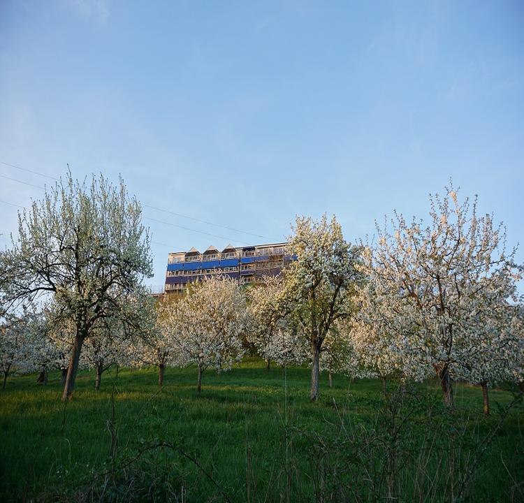 Berg-Gasthof Hotzelein